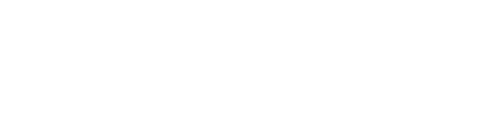 white_bluetally_logo